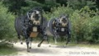 Pentagon's New Mechanical Horse Is Smart Enough to Follow Its Masters